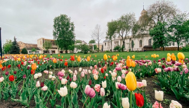 На следующей неделе потеплеет до +25 градусов