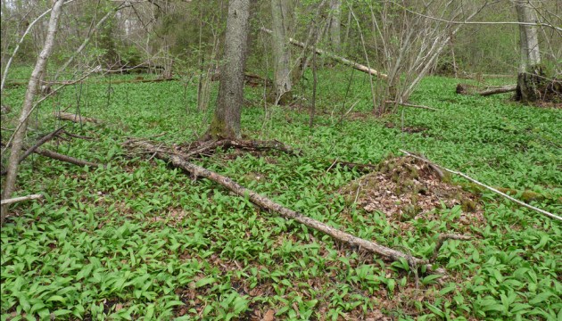 �� ���� ������� � ����� �� 1400 ����