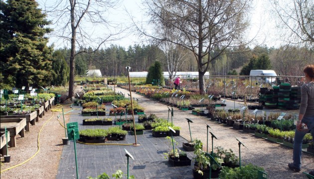 ������� ��������: ��������� �������� ���������� ���������� �������� �� ��� �����