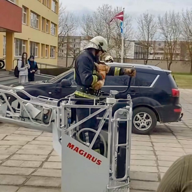 �������� � ������� ������ ������-����������� (+�����)