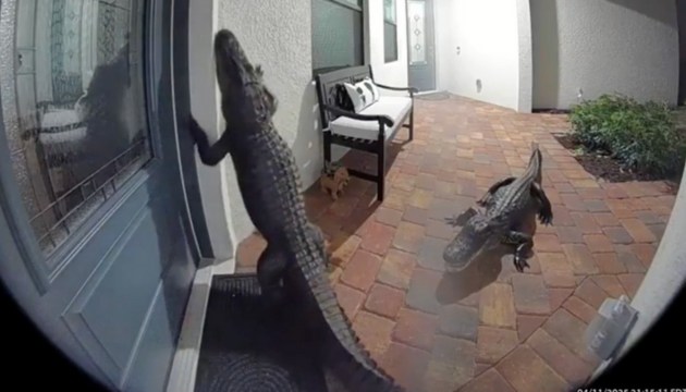 ��� �����?� ���������� ������ ����� � ��������� � ����� �������� (+�����)