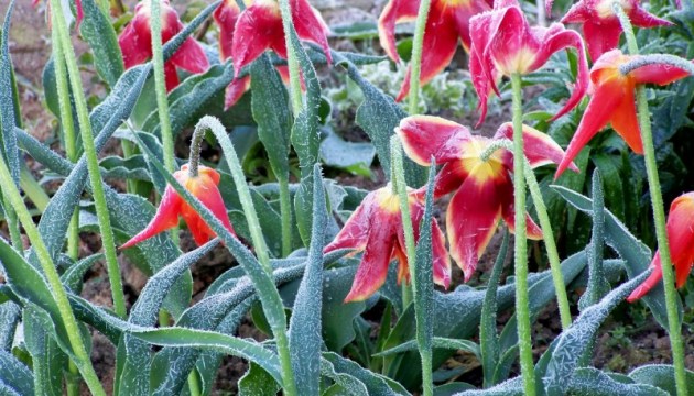 ������� ������: ����� ������ �������� ��� ������