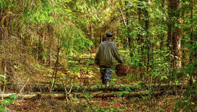 В Аугшдаугавском крае спасли человека, заблудившегося в лесу