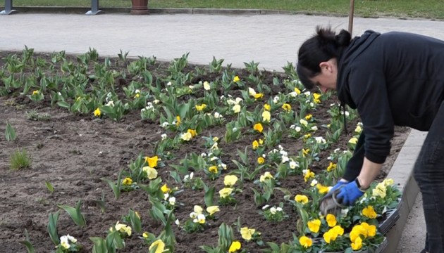 ������ ������ ������� � ������ �����������