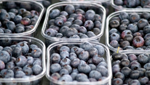 ������� �����������: ������� � ���� ���� ����� ����, � ��� ����� �������