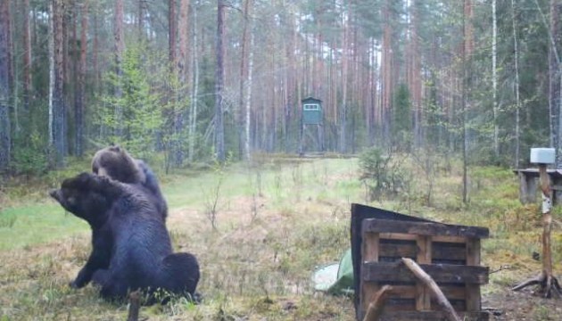 ������ ������ ��� ��������?� ��������� � ���������� ���� ����������� � ����������� 