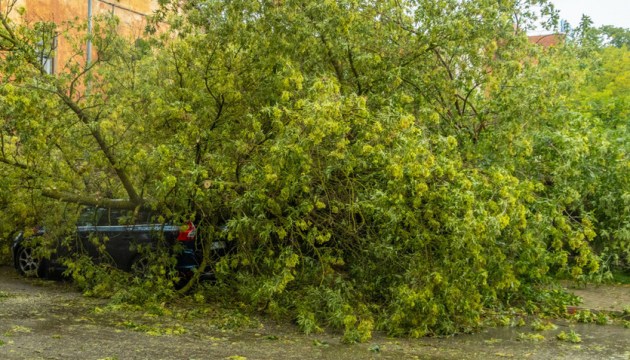 В Даугавпилсе за сутки — ни одного пожара, но спасатели без работы не остались