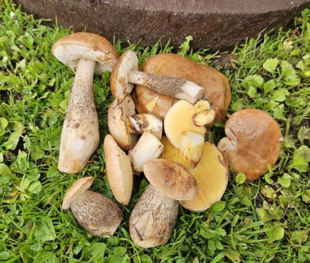 �� �� ��������! � ������ ����� �����