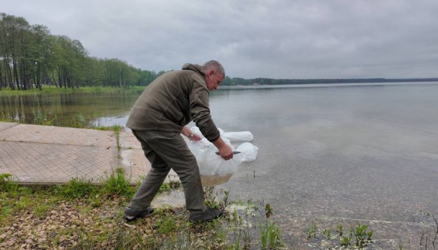 ������ ����������: � ����� ������� ������ ��������� ������� ����� �������