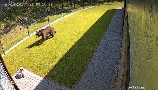 � �������� ���������� �������. ��� ����� ������ ����� (+�����)