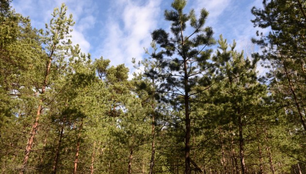 ������������� ����� ������! ��� �������������� ������ ��������� �������� ���������������