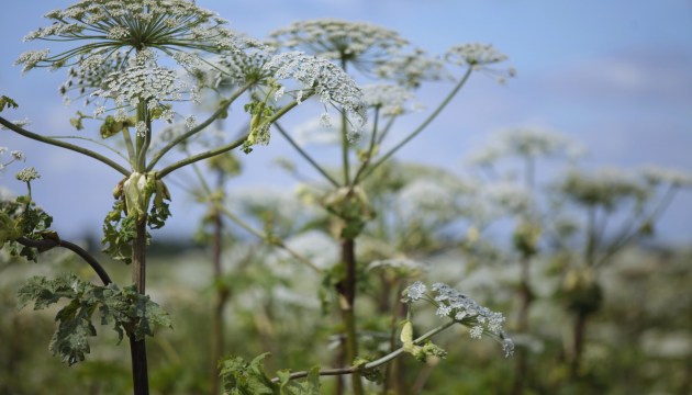 ������������ ���������� �� ���������! ����� ����� ������