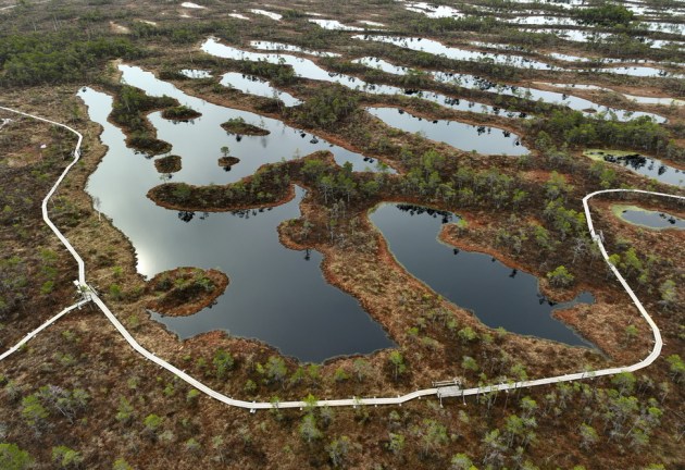 ������ ��� �����? � ��������� ������������ ����� �������� ��������� ���������� �� 4 ��� ����