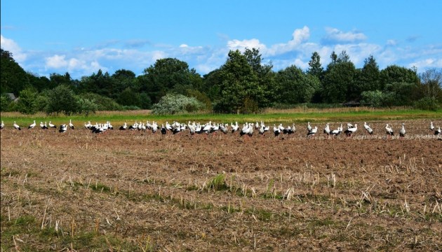 ����� ��������� � �������: ������� ����� ����� ������� ��������