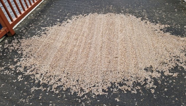 �� ����� ����� ���� � ��������� �� ��������� ���������-���������� (+����)