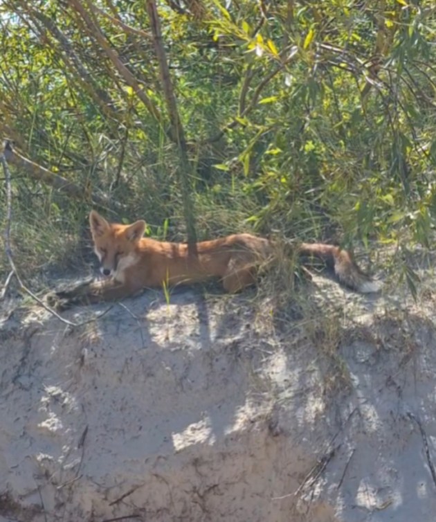 ���� ���� ����� ����