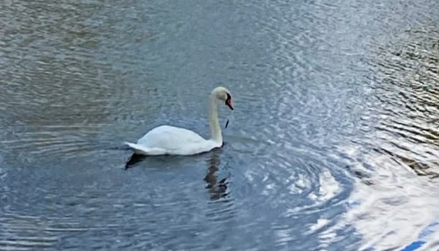 �� ����� ��������� ���� �� ��������� ��������� �������� � �������