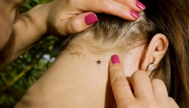 ������� ����� ���������� �� ����� ����������������. �� � �������� �� ������ ����� ��������