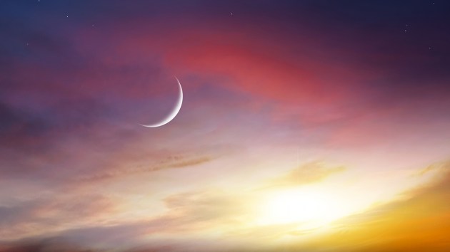 ��� ������� ��������� � ����? 4 �����, ������� ���� ���������� � ���������