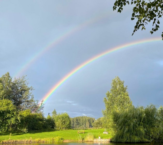 � ������ ���������� ����������������� �����. ����� �������� �����?