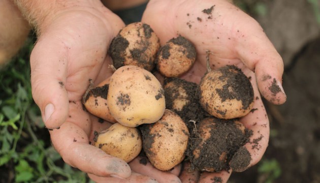 �������: ������ ��������� � ���� ���� ����� �� ������