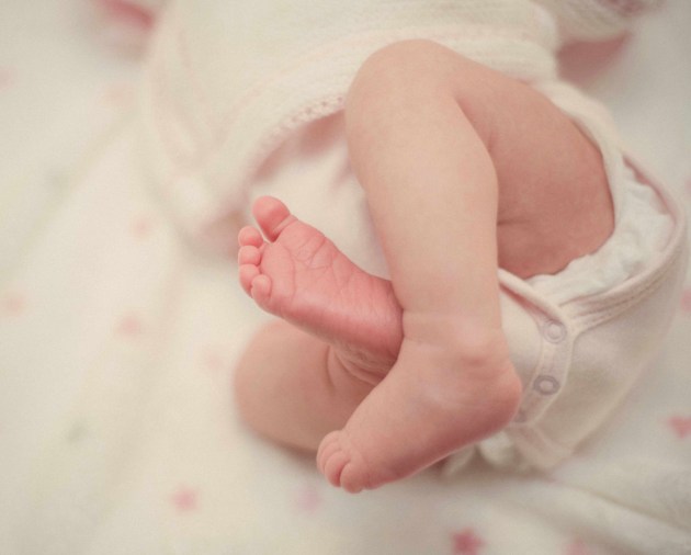 ��������, ����������� �� ����� � ����������, ������� � �������� �����