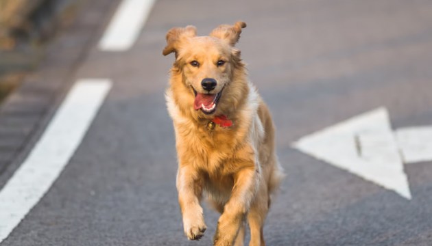 ���� ���� ������ ������ ��� ����� � ���������� �� ��� ���������