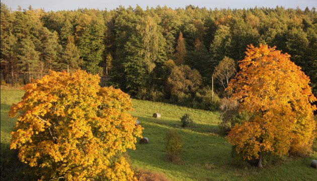 � �������� ���� ����! � ������� �� +27