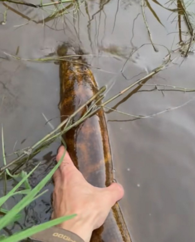 �������� � ����?! (+�����)