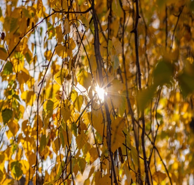 ���� �������� �� ���� ����: � ����������� ������ ���������� �� +25