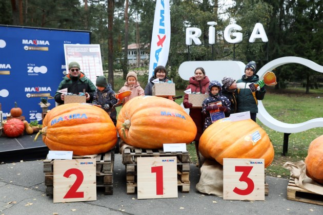 ����� ������� ������� �� ����� ������� �����