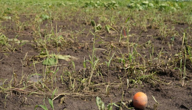 ����������� ���� � ������ ��������! ������������� ������ � �� ����� ���������