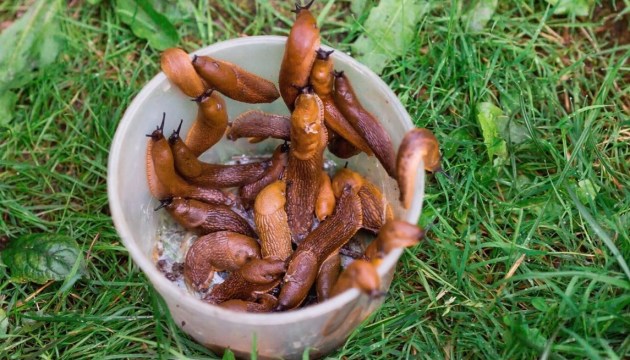 �������� ���� �������! ��� ����� ���������� �� ��������� �������?