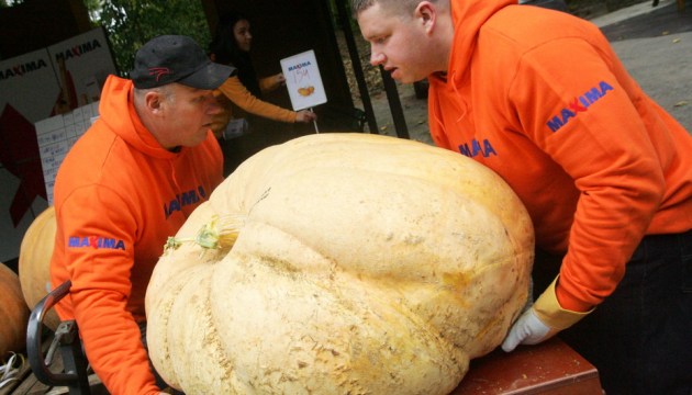 ����� ������ �� ��������� ��������� ���� ��������