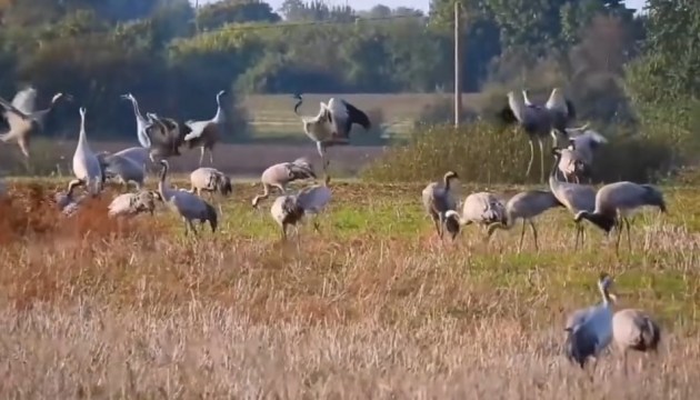 ���������� ����� ����� (+�����)