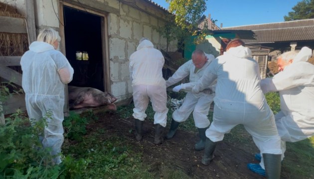 ���: ���������� ������������ � �������� ���������. ���� ����������� �� ���������