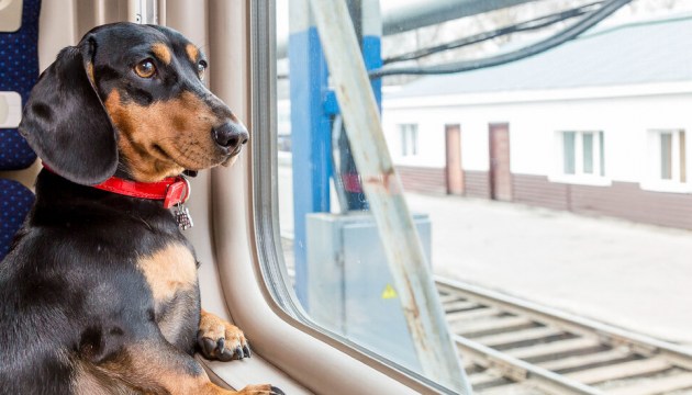 ����� ��������� ������ �� ���������� Pasažieru vilciens ��������� �������� �� ���������� ��������