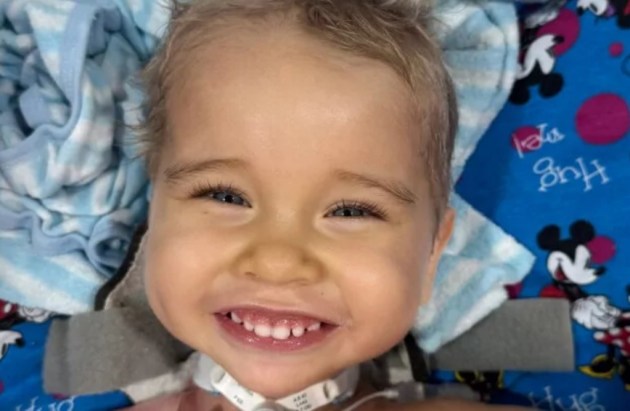 ����� ��������� ����: ������ ��������, �������� � ��� �������� ������ �� ������������