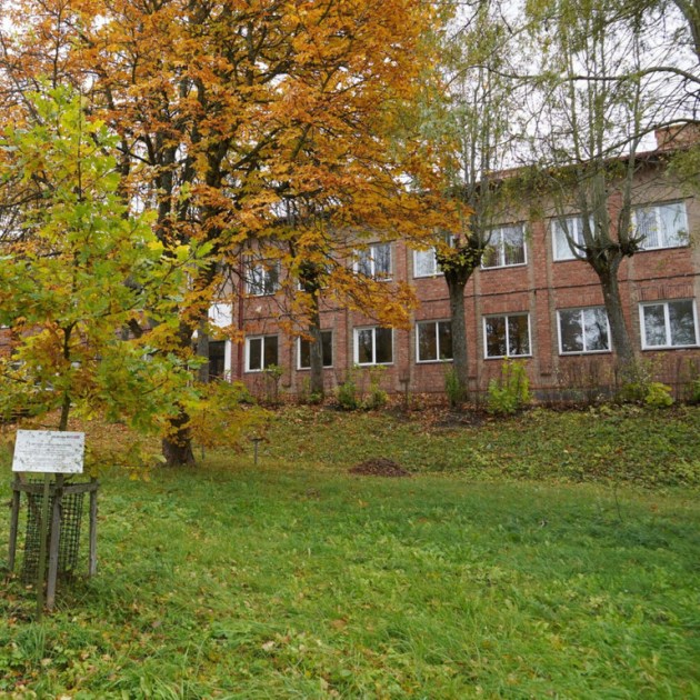 ����� ��� ������ ������� � ����� ������� � ��������� ����: � ������ ������ 30 ��� ����