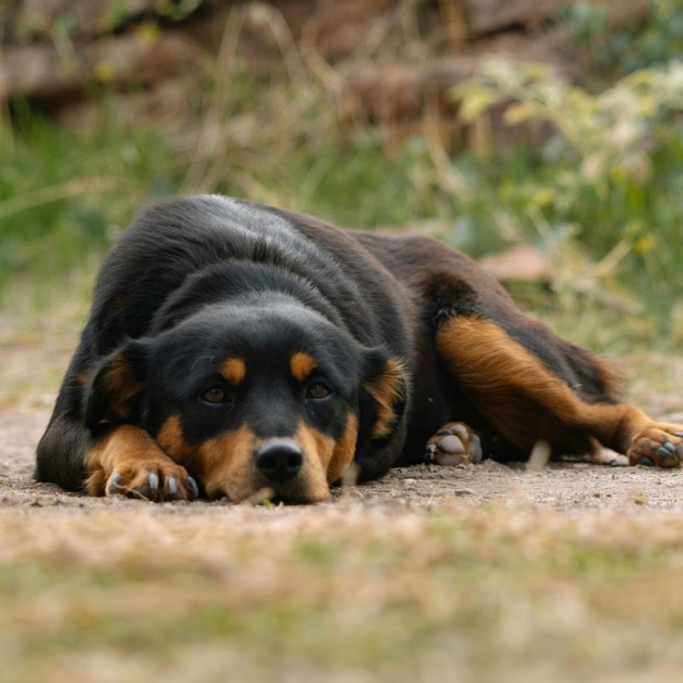 ���������� ���� �������: � ������ ����� ����� ��������� ������������� �����