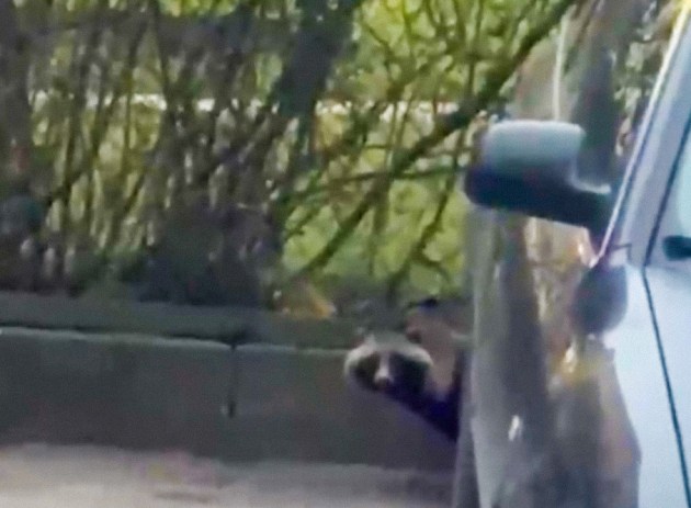 �� ��������� � ������ ����������� ����� � �������� �������� �����. ���� �� ��� ������ � ���� (+�����)