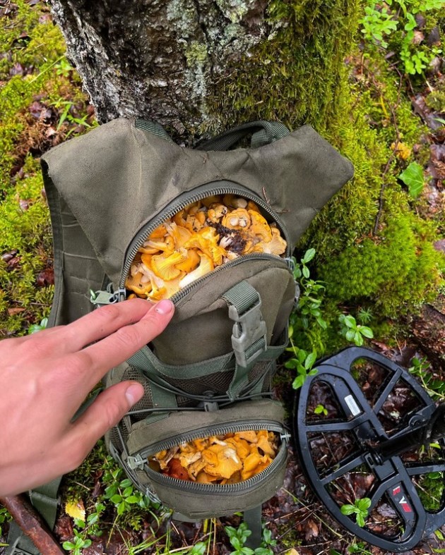 Грибной сезон продолжается! Миколог объяснила, почему он затянулся