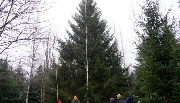 ������� ���� ������! ������� �������������� ������� ������ �������