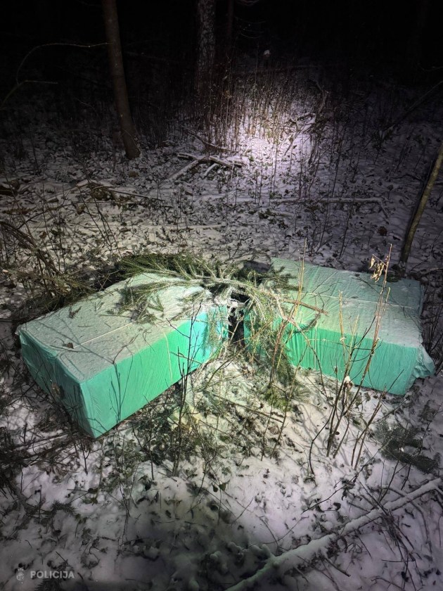 � ������ ��������� �������� �����, ���������������� ��������� �� ������������� ������