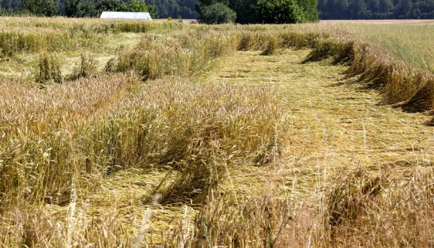 �������� ������ ������ �������� ������ �� 111 ��������� ����