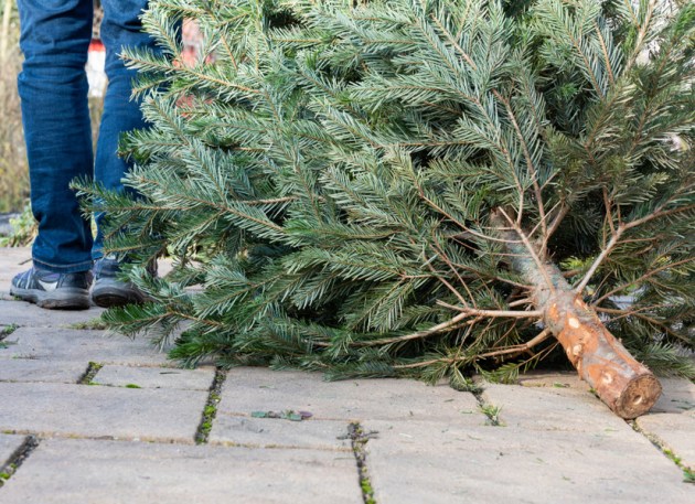 Rīgas meži ��������� �������� ����