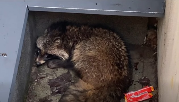 ����������� ����� � ������ ������: � ������ ��������� ����� ����������� ������