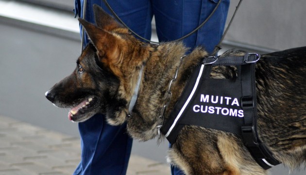 ������ ����������� �������� � ������� � ����������� ��������� �� 12-������� ������� ����