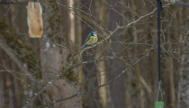 �� ���� ������ ������ ��� 56 ������������� ��������. ������� ������ ����� � �����������