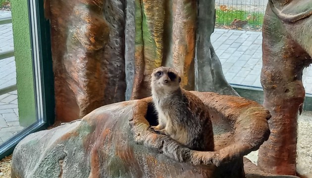 � ����������� ������� � ������ ���� ��������� ���� �� ������� ������